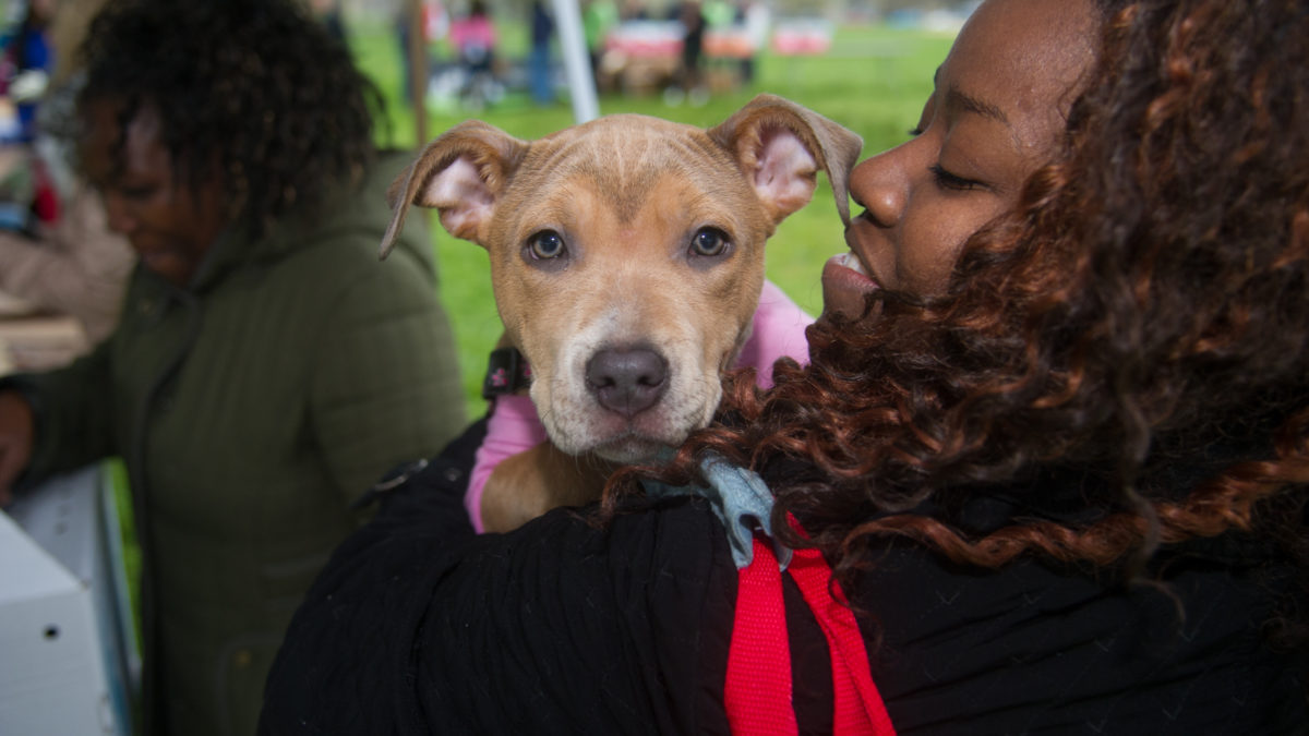 Inclusion = Lifesaving: Women with dog