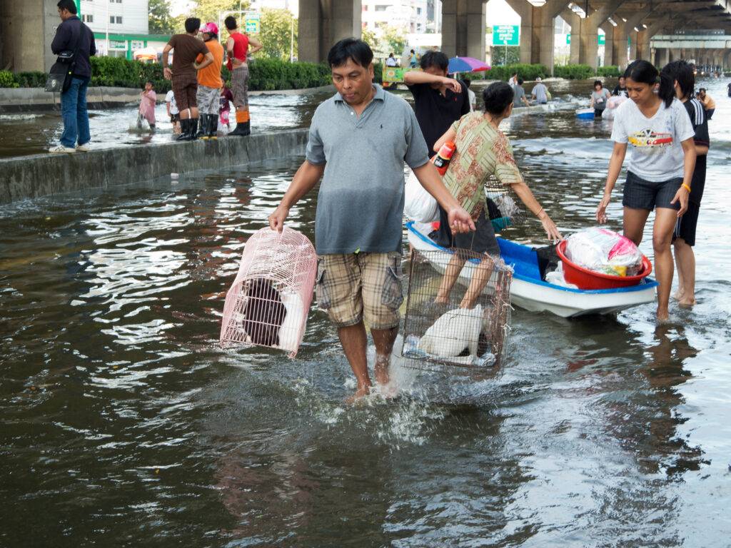 flood in bangkok, thailand
