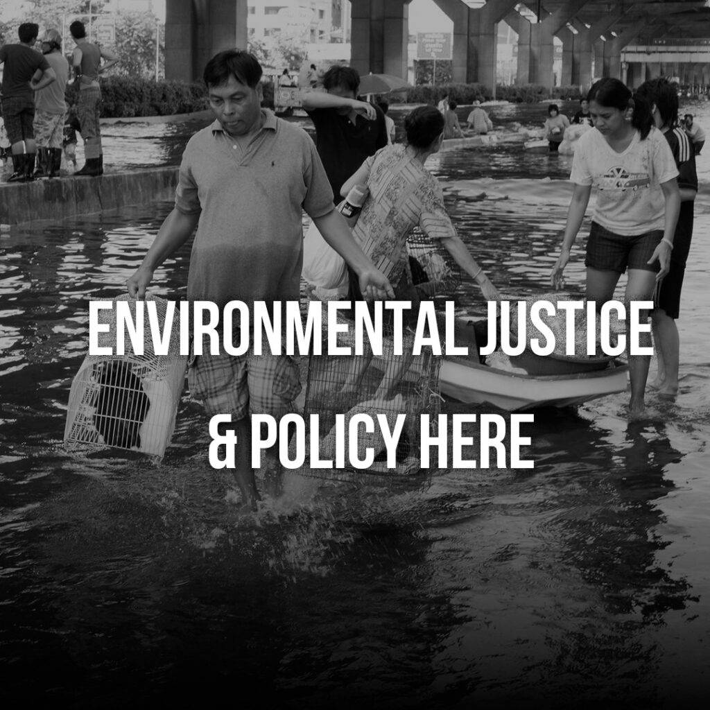 Environmental Justice and Policy Button
