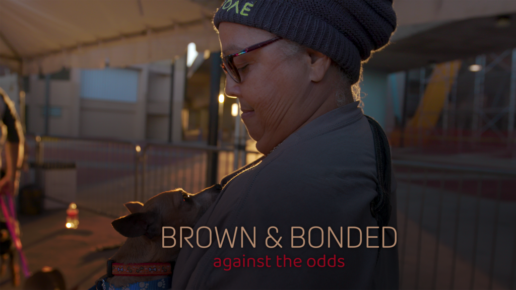 Brown and Bonded Doc