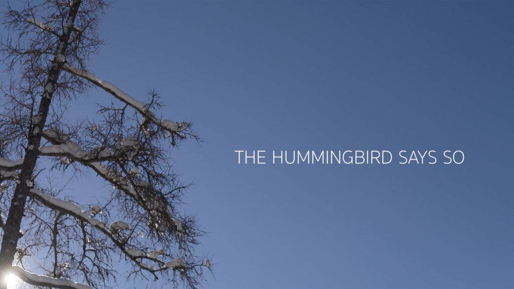 The hummingbird Says So