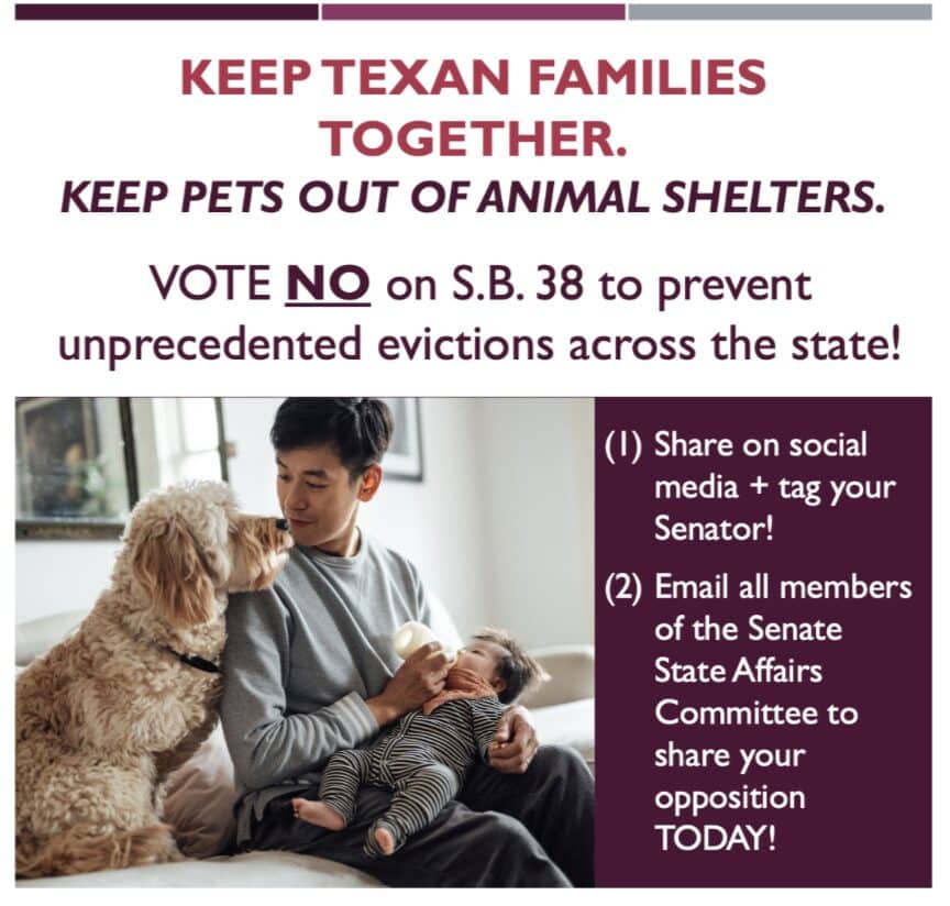 Keep Texan Families Together Vote No on SB 38