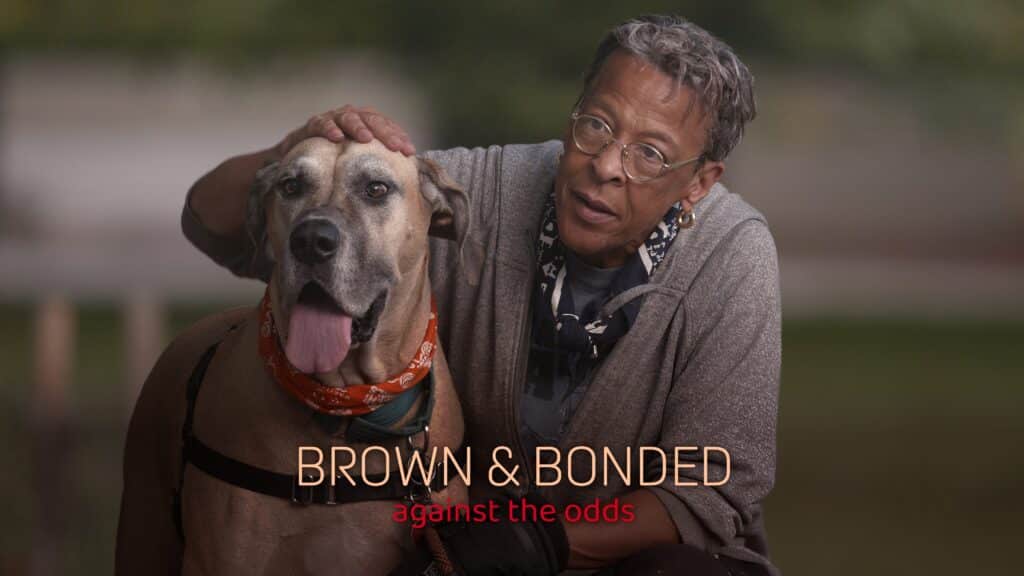 Brown and Bonded Press Kit Photo – African American women holding a senior pet.