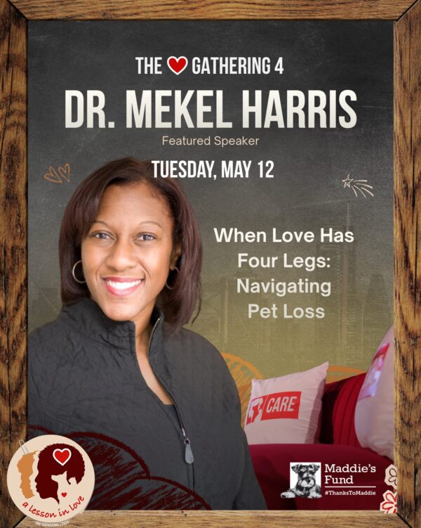 Screenshot 2026-04-09 at 4.43.54 PM